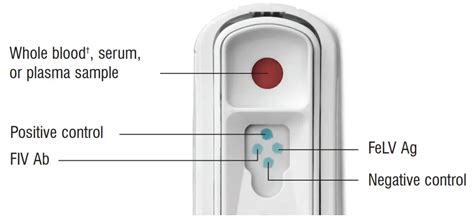 idexx snap test instructions|SNAP FIV/FeLV Combo Test Product Insert and .